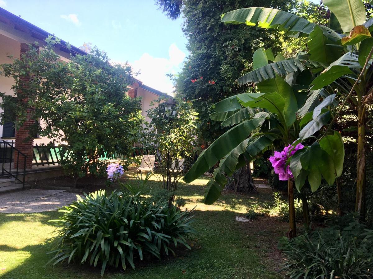 Casa Vacanze Gabbianella Villa Con Giardino Lungolago Maderno トスコラーノ・マデルノ エクステリア 写真